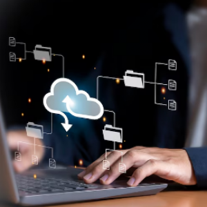 Cloud Data Management